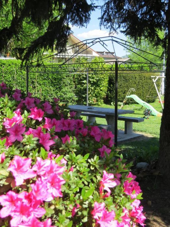 Casa Michela Parking Free Domodossola Lägenhet Exteriör bild